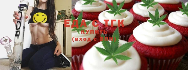 индика Горнозаводск