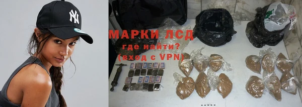 прущие грибы Нефтегорск