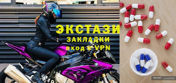 индика Горнозаводск