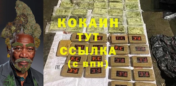 гидра Нея