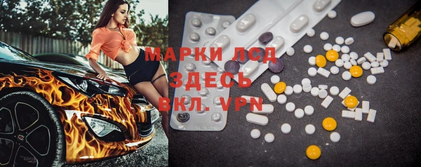 индика Горнозаводск