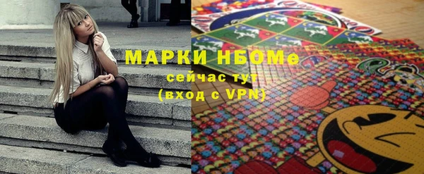 индика Горнозаводск