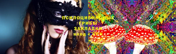 Альфа ПВП Горно-Алтайск