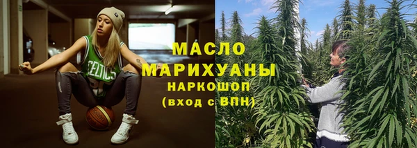 индика Горнозаводск