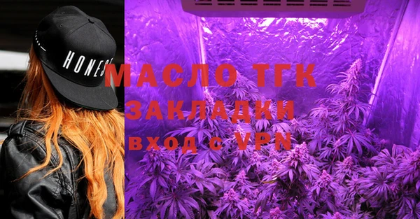 индика Горнозаводск