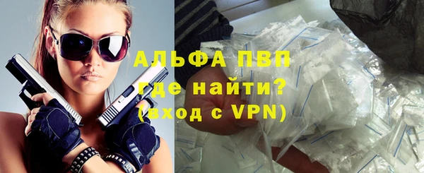 индика Горнозаводск
