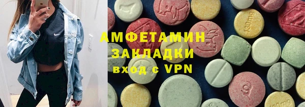 индика Горнозаводск