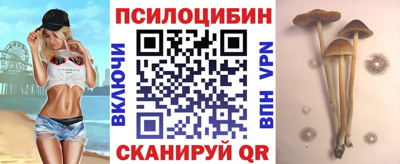 hydra как войти Ростов Псилоцибиновые грибы Cubensis